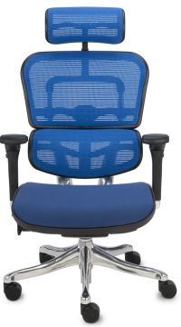 Wygodny fotel komputerowy Ergohuman BT KMD35